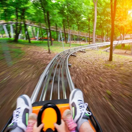 Forest View In Winterberg Sauerland - Private Garden Facing The Woods *