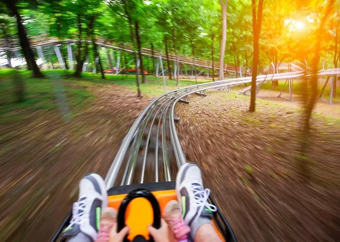 Forest View In Winterberg Sauerland - Private Garden Facing The Woods *