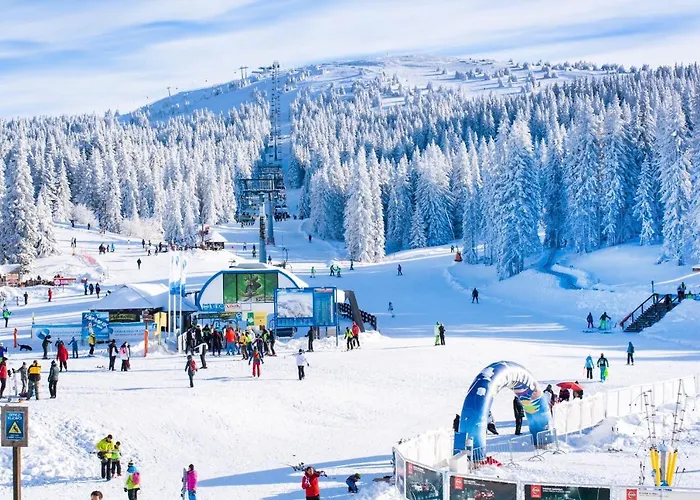 Forest View In Winterberg Sauerland - Private Garden Facing The Woods 梅德巴赫