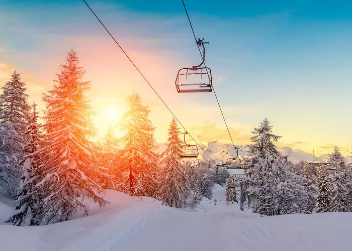 Forest View In Winterberg Sauerland - Private Garden Facing The Woods 公寓
